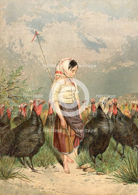 'The Turkey Guardian', 1858. Artist: Unknown