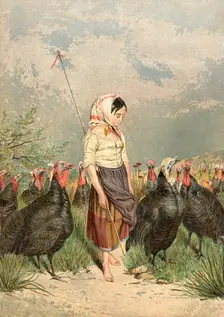 The Turkey Guardian 1858