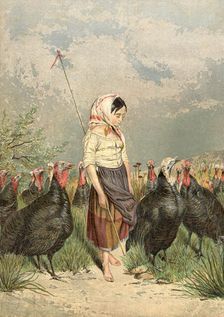 The Turkey Guardian 1858