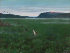 The twelve Wild Ducks, 1897. Creator: Theodor Kittelsen