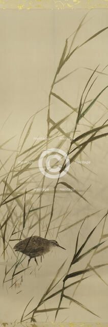 The Twelve Months, between 1900 and 1918. Creator: Watanabe Seitei.