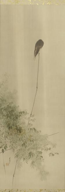 The Twelve Months, between 1900 and 1918. Creator: Watanabe Seitei