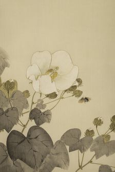 The Twelve Months: Eighth Month, between 1900 and 1918. Creator: Watanabe Seitei