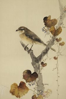 The Twelve Months: Eleventh Month, between 1900 and 1918. Creator: Watanabe Seitei