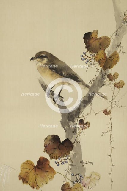 The Twelve Months: Eleventh Month, between 1900 and 1918. Creator: Watanabe Seitei.