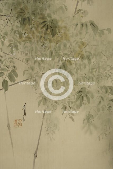 The Twelve Months: Fourth Month, between 1900 and 1918. Creator: Watanabe Seitei.