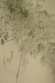 The Twelve Months: Fourth Month, between 1900 and 1918. Creator: Watanabe Seitei