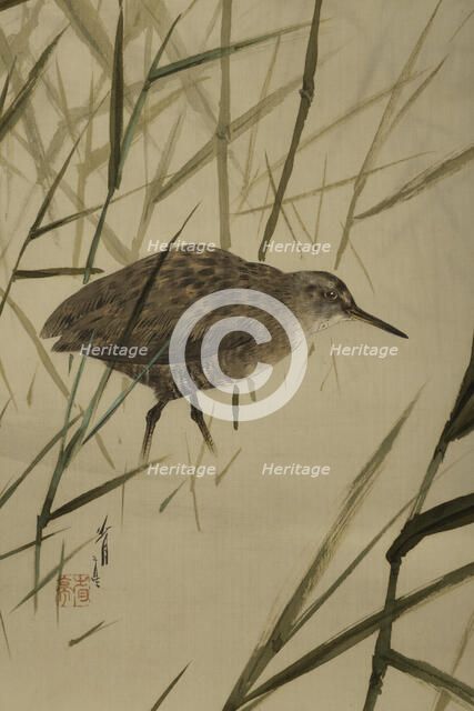 The Twelve Months: Sixth Month, between 1900 and 1918. Creator: Watanabe Seitei.