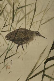 The Twelve Months: Sixth Month, between 1900 and 1918. Creator: Watanabe Seitei