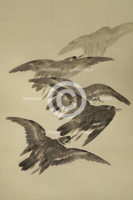 The Twelve Months: Tenth Month, between 1900 and 1918. Creator: Watanabe Seitei.