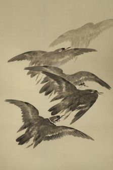 The Twelve Months: Tenth Month, between 1900 and 1918. Creator: Watanabe Seitei