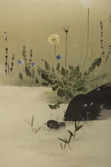 The Twelve Months: Third Month, between 1900 and 1918. Creator: Watanabe Seitei