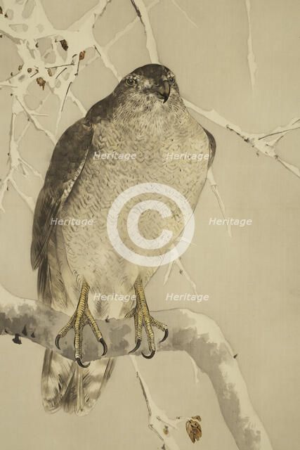 The Twelve Months: Twelfth Month, between 1900 and 1918. Creator: Watanabe Seitei.