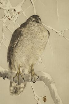 The twelve months: twelfth month, between 1900 and 1918. Creator: Watanabe Seitei