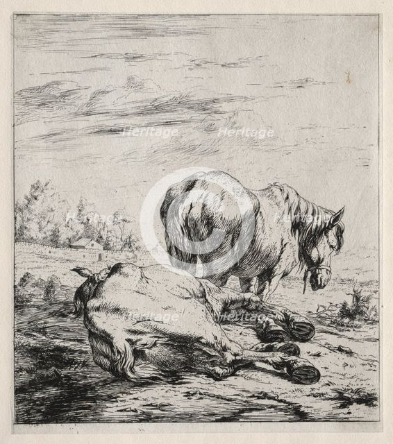 The Two Horses, 1850. Creator: Charles Meryon (French, 1821-1868).