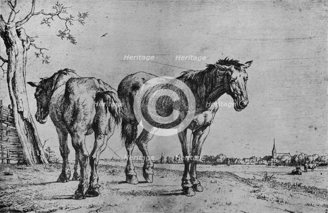 'The Two Plough Horses', 1652. Artist: Paulus Potter.
