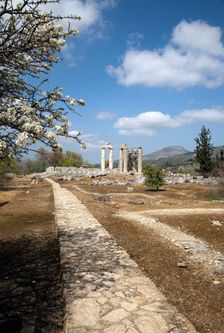 The Temple of Zeus at Nemea, Greece. Creator: Samuel Magal