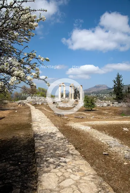 The Temple of Zeus at Nemea, Greece. Creator: Samuel Magal.