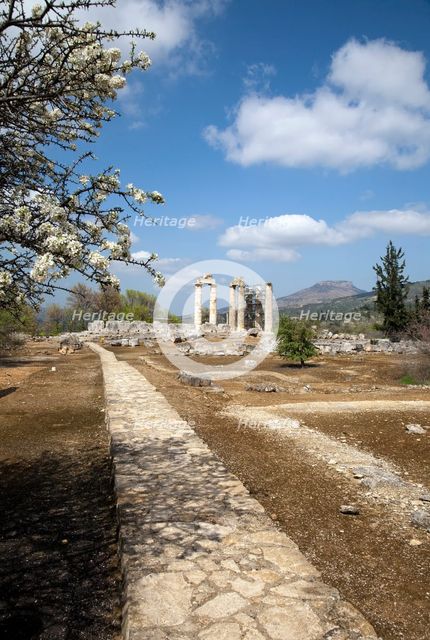 The Temple of Zeus at Nemea, Greece. Creator: Samuel Magal.