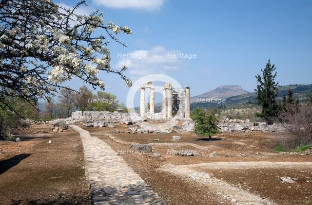 The Temple of Zeus at Nemea, Greece. Creator: Samuel Magal.