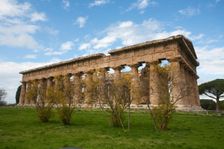 The Temple of Neptune, Peastum, Italy. Creator: Samuel Magal