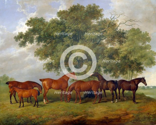 'The Theobald Stud', 1825. Artist: James Barenger.