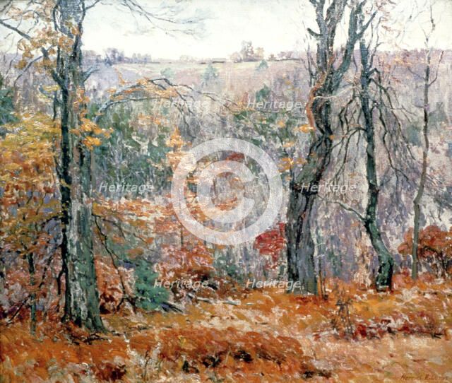 'The Thicket', c1925. Artist: Harriet Lumis