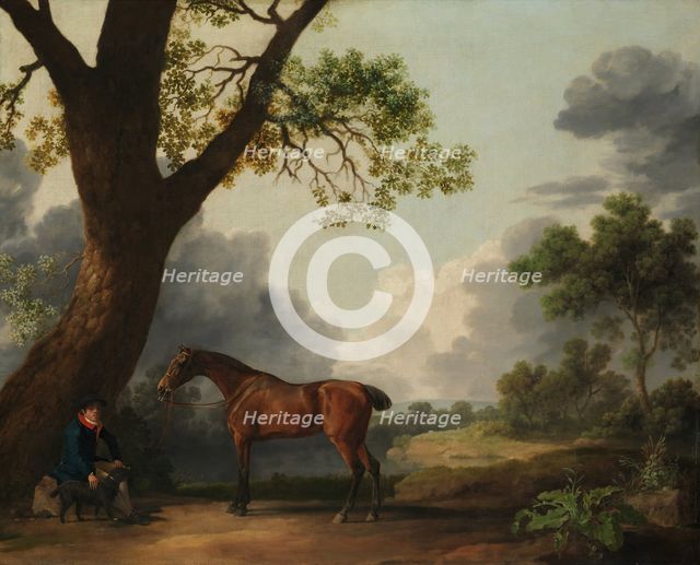 The Third Duke of Dorset's Hunter with a Groom and a Dog, 1768. Creator: George Stubbs.