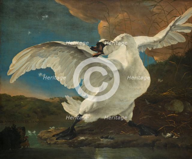 The Threatened Swan, before 1652. Artist: Asselijn, Jan (ca 1610-1652)