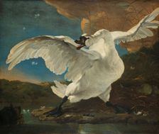 The Threatened Swan, c.1650. Creator: Jan Asselijin