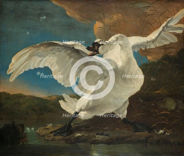 The Threatened Swan, c.1650. Creator: Jan Asselijin.