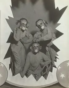The Three Monkeys, 1937. Creator: Unknown