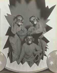The Three Monkeys, 1937. Creator: Unknown