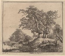 The Three Oaks, 1649. Creator: Jacob van Ruisdael