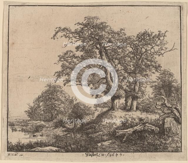 The Three Oaks, 1649. Creator: Jacob van Ruisdael.