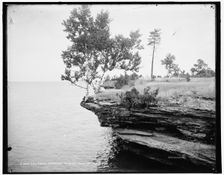 The Three birches, Pointe aux Barques, between 1890 and 1901. Creator: Unknown