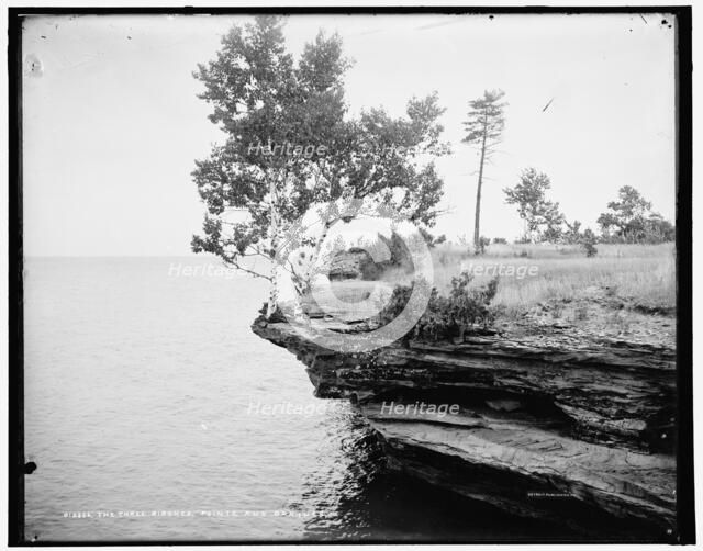 The Three birches, Pointe aux Barques, between 1890 and 1901. Creator: Unknown.