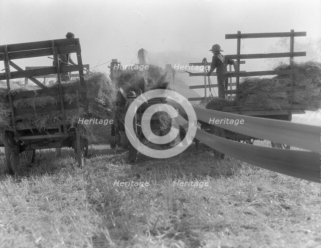 The threshing of oats, Clayton, Indiana, south of Indianapolis, 1936. Creator: Dorothea Lange.