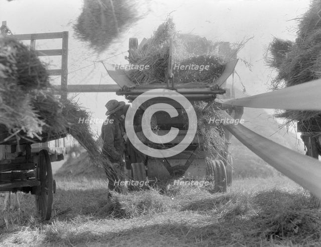 The threshing of oats, Clayton, Indiana, south of Indianapolis, 1936. Creator: Dorothea Lange.