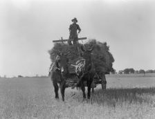 The threshing of oats, Clayton, Indiana, south of Indianapolis, 1936 Creator: Dorothea Lange