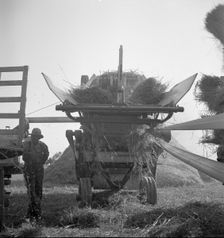 The threshing of oats, Clayton, Indiana, south of Indianapolis, 1936 Creator: Dorothea Lange