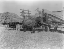 The threshing of oats, Clayton, Indiana, south of Indianapolis, 1936 Creator: Dorothea Lange