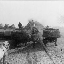 The threshing of oats, Clayton, Indiana, south of Indianapolis, 1936. Creator: Dorothea Lange