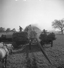 The threshing of oats, Clayton, Indiana, south of Indianapolis, 1936 Creator: Dorothea Lange