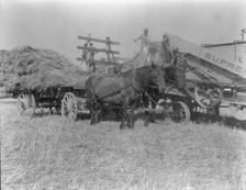 The threshing of oats, Clayton, Indiana, south of Indianapolis, 1936 Creator: Dorothea Lange