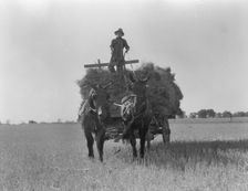 The threshing of oats, Clayton, Indiana, south of Indianapolis, 1936 Creator: Dorothea Lange