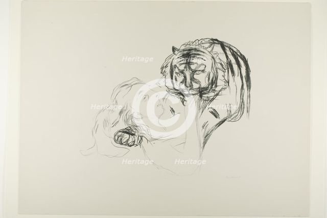 The Tiger, 1908/09. Creator: Edvard Munch.