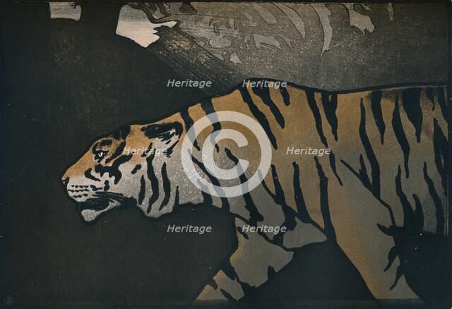 'The Tiger', c1900. Artist: John Dickson Batten.