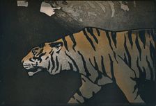 The Tiger c1900. Artist: John Dickson Batten