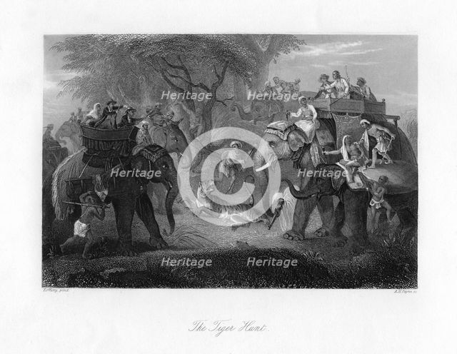 'The Tiger Hunt'. Artist: AH Payne